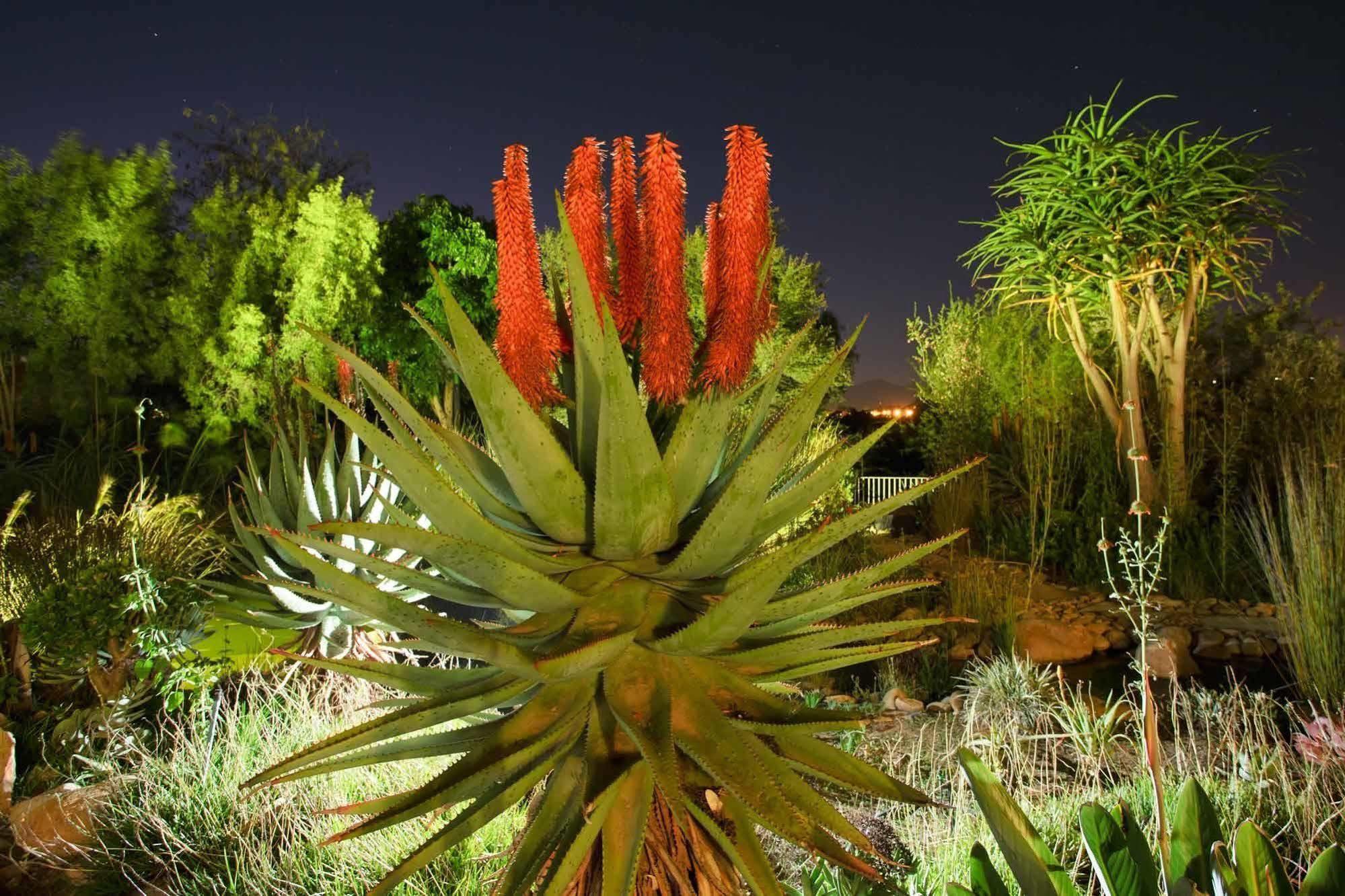 Aloe Manor Hotel Oudtshoorn Ngoại thất bức ảnh